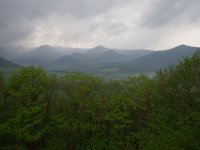 img (50)